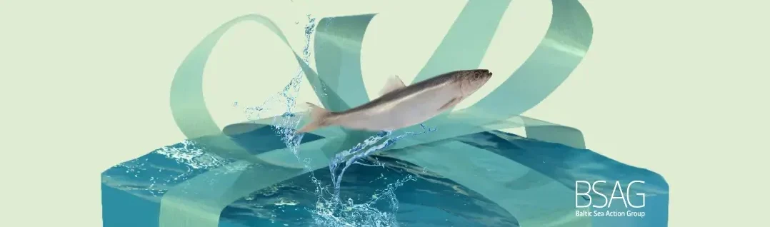 Annoimme joululahjan Itämerelle